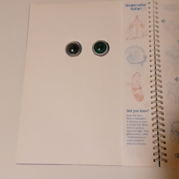 EYEBALL ANIMATION DRAWING BOOK UNDERWATER SAFARI - Picture 3 of 3